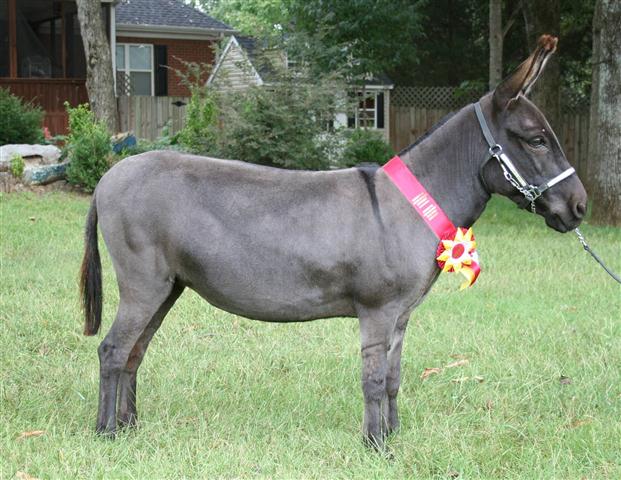 Lue Lue (sept 2012) (Small)
