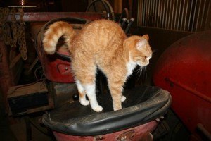 img_9860-small