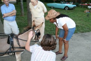 img_0822-small img_0822-small