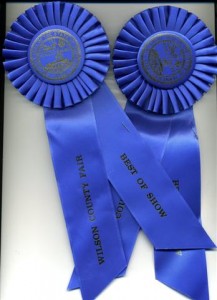 ribbons0314-small